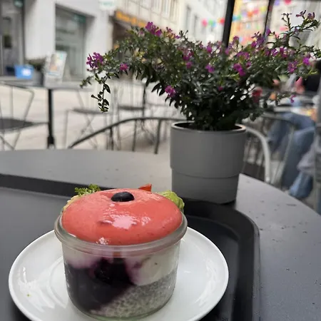 New Spacious Luxury At Rathaushausplatz
